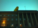 Canary on top of city hall