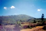Ethiopa Ziqualla