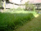 Lawn