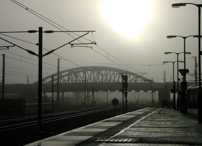 Misty Tracks