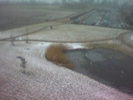 Snow Pond