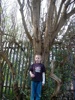 Tom Tree