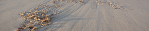 Sand