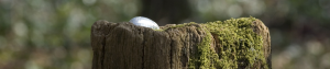 Easter Egg